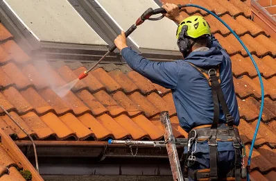 Démoussage et hydrofuge de toiture à Roannes-Saint-Mary